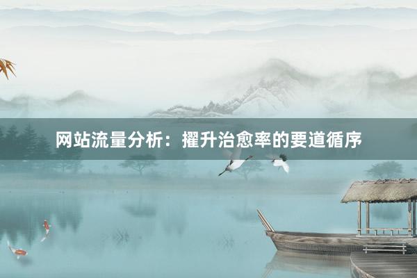 网站流量分析:擢升治愈率的要道循序